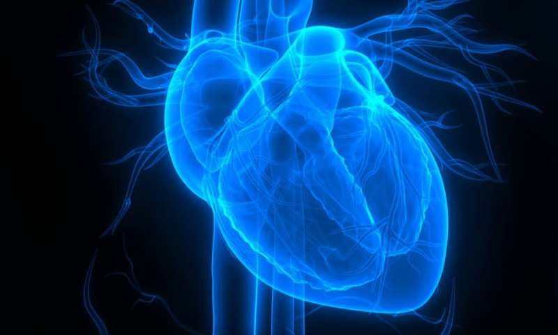 New approach to reducing damage after a heart attack