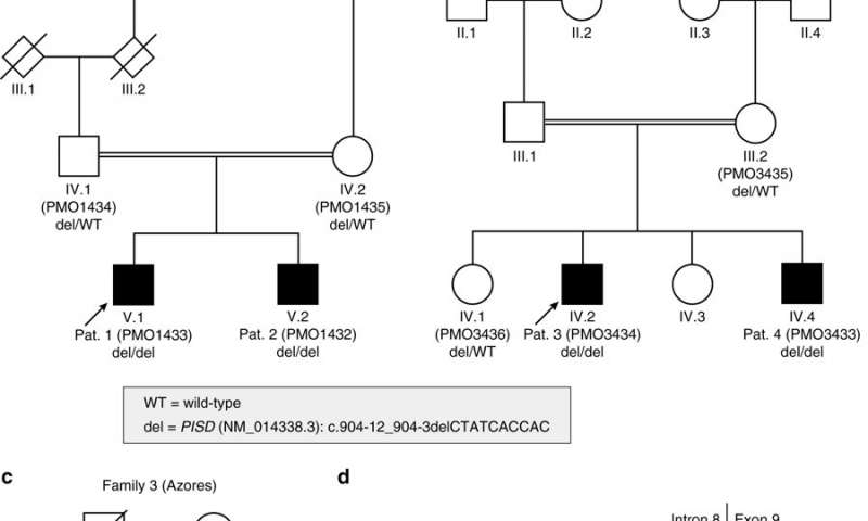 Molecular cause for severe multi-organ syndrome Molecular cause for severe multi-organ syndrome