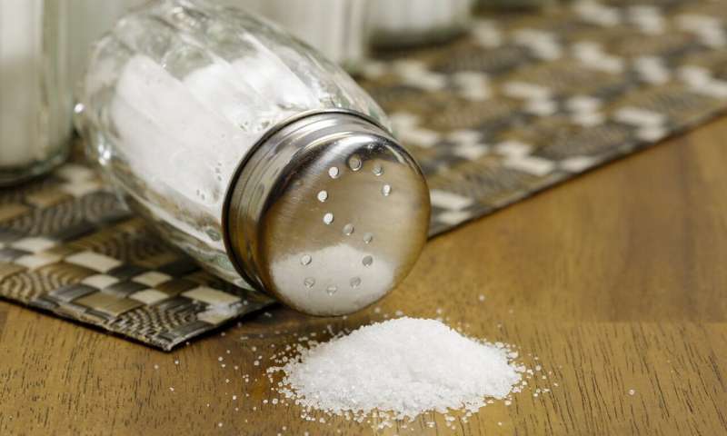 Study highlights the benefits of a salt reduction strategy to US food industry
