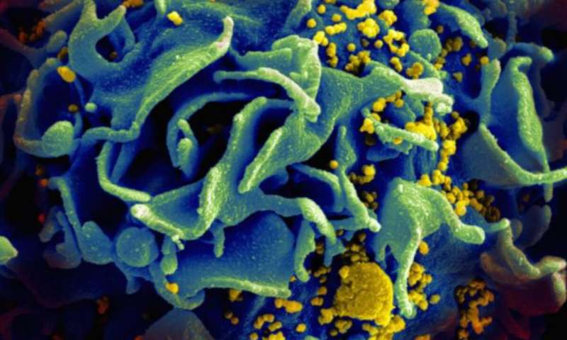 New implant, vaccine trial offer fresh HIV hope