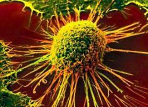 Breast cancer research could expand lung cancer therapies