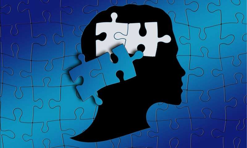 Compensatory strategies to disguise autism spectrum disorder may delay diagnosis