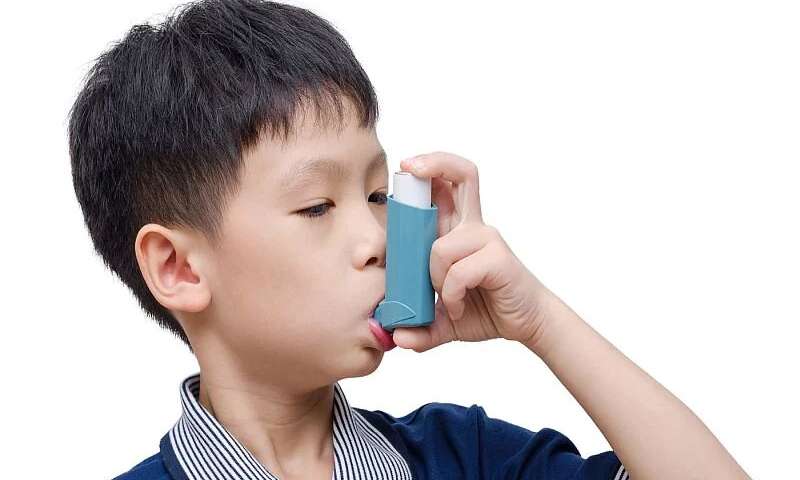 Reducing air pollution could cut rates of childhood asthma