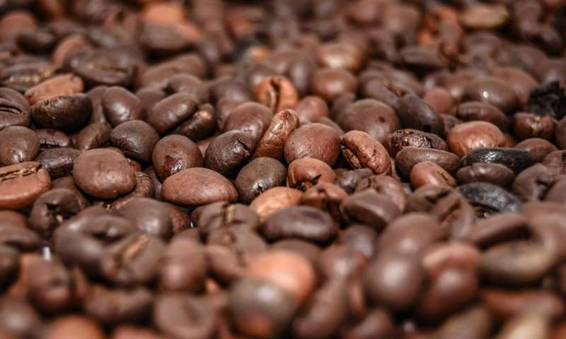 Too much caffeine during pregnancy may damage baby’s liver