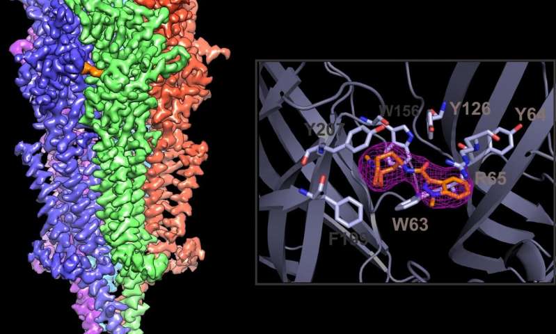 New, high-resolution images reveal clues to improve anti-nausea drugs for cancer patients